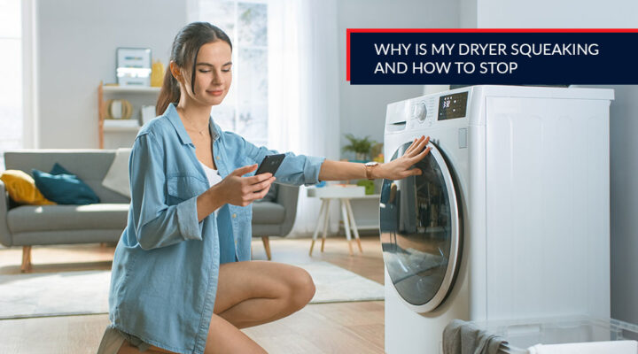 Dryer Squeaking