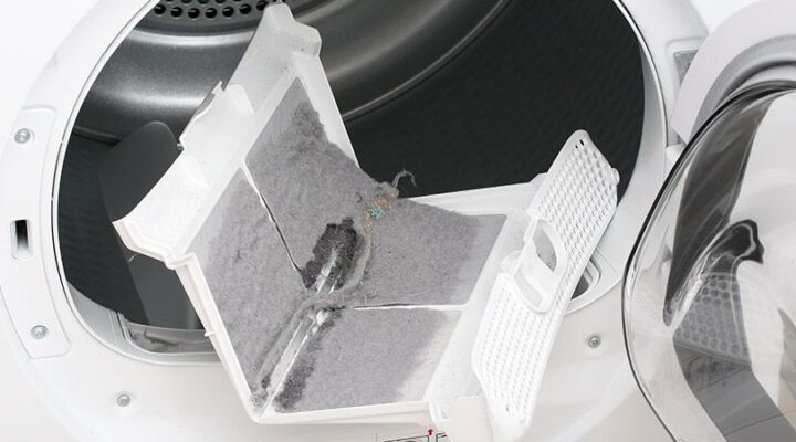 stop bugs in dryer vents