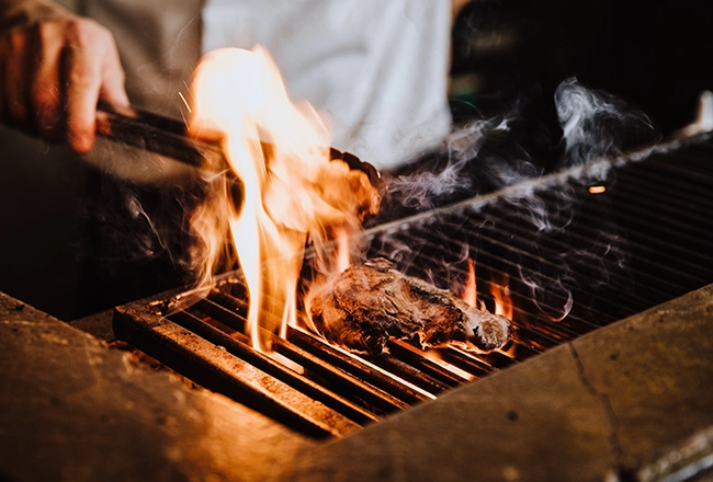 grill repair and servicing services
