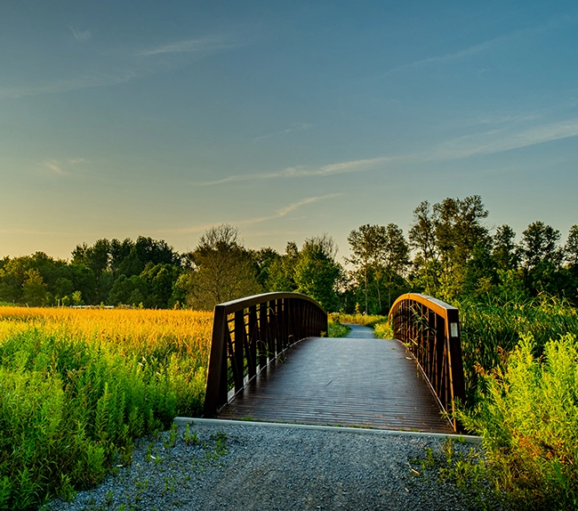 east gwillimbury