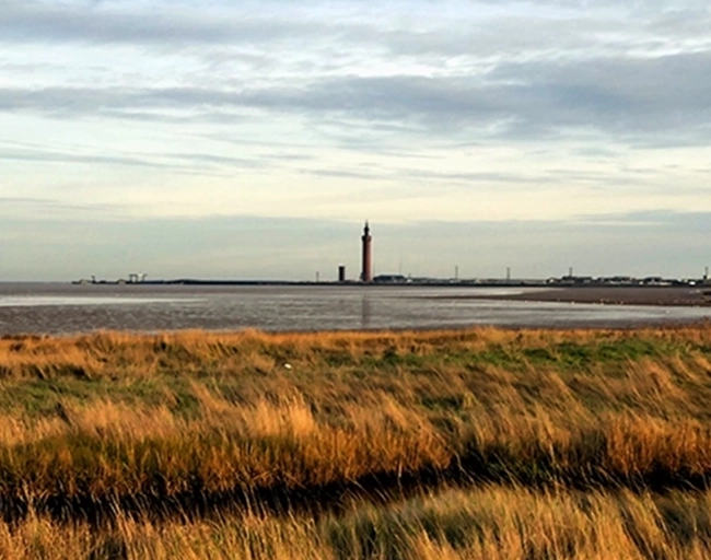 grimsby residents