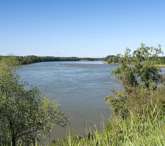 binbrook
