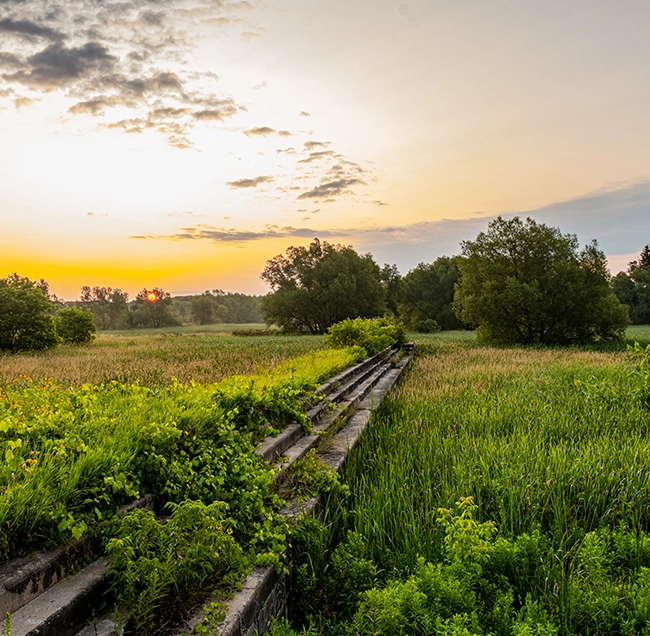 west gwillimbury