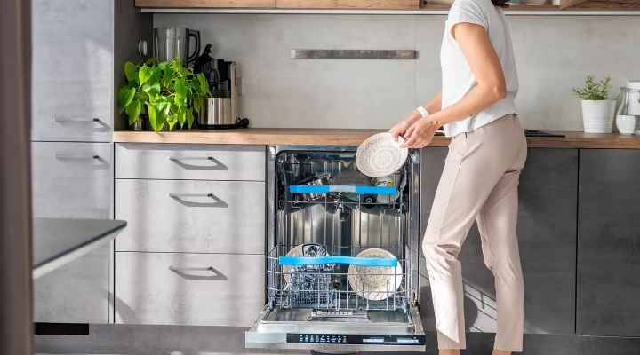 dishwasher issue repair