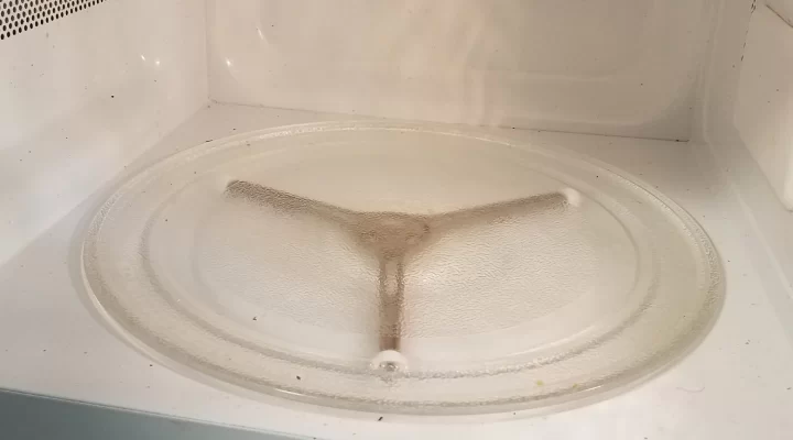 turntable in a microwave